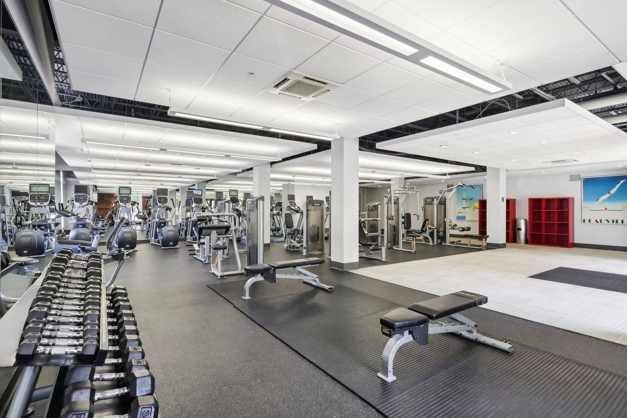 Park View Gym Weight Rack